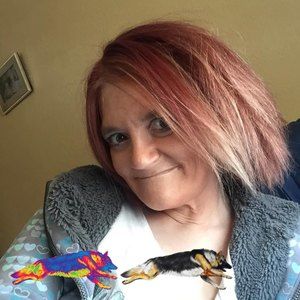 Meet your Posher, Teri b.